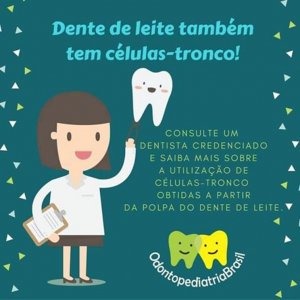 As células-tronco da polpa do dente de leite